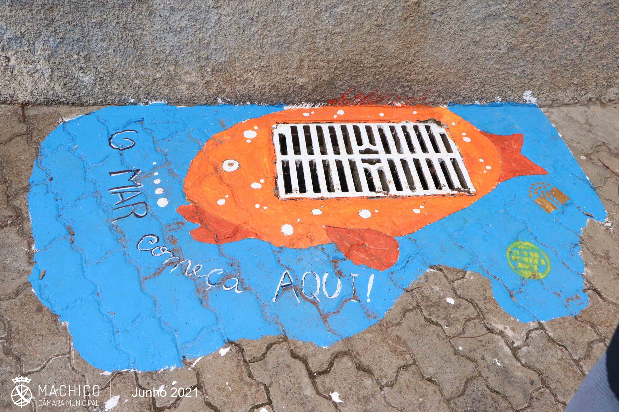 EB1/PE/C de Água de Pena<br />
foto junto ao edifício escolar, numa sarjeta, retratando um "mero"
