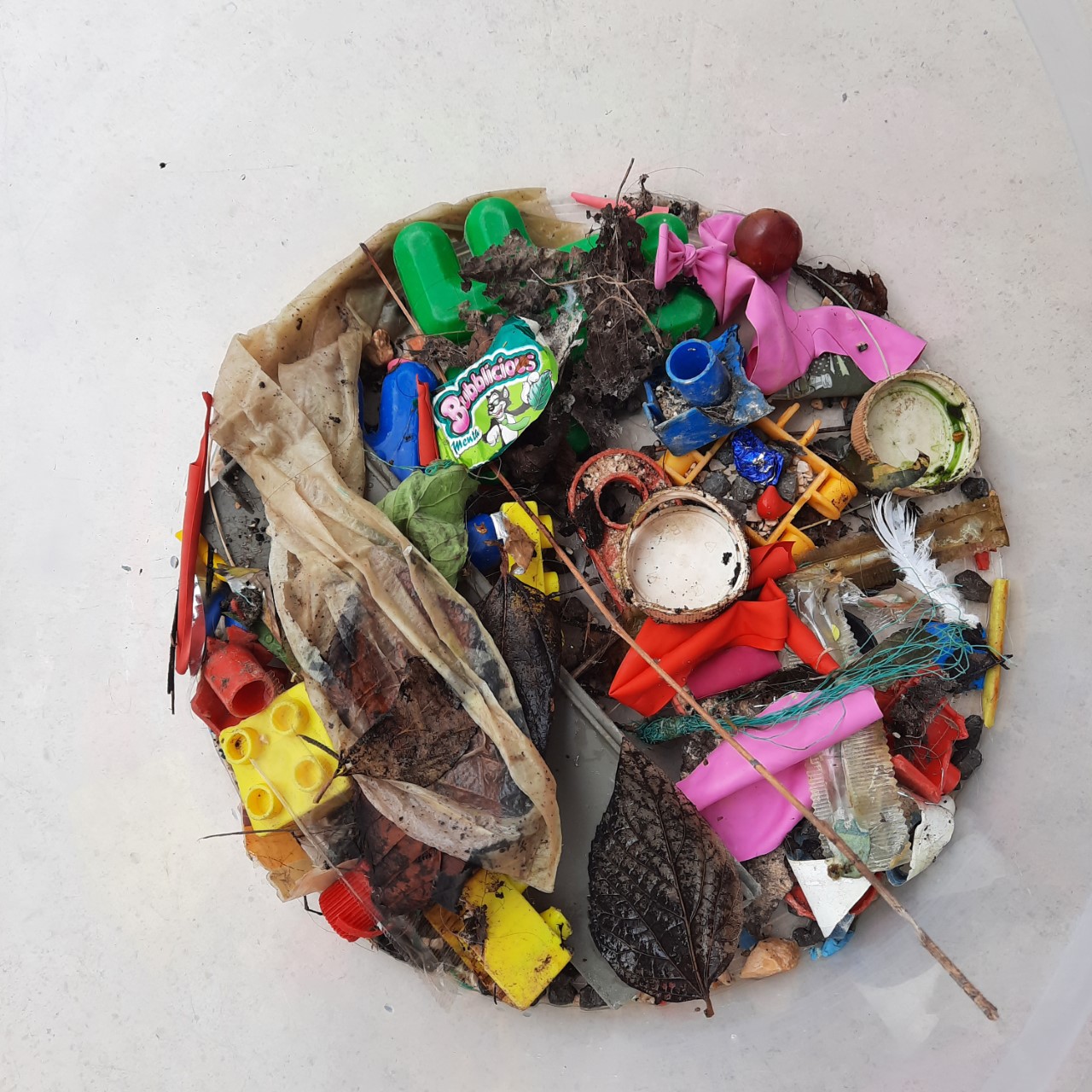 Balde com lixo retirado de sumidouros interiores de uma escola.