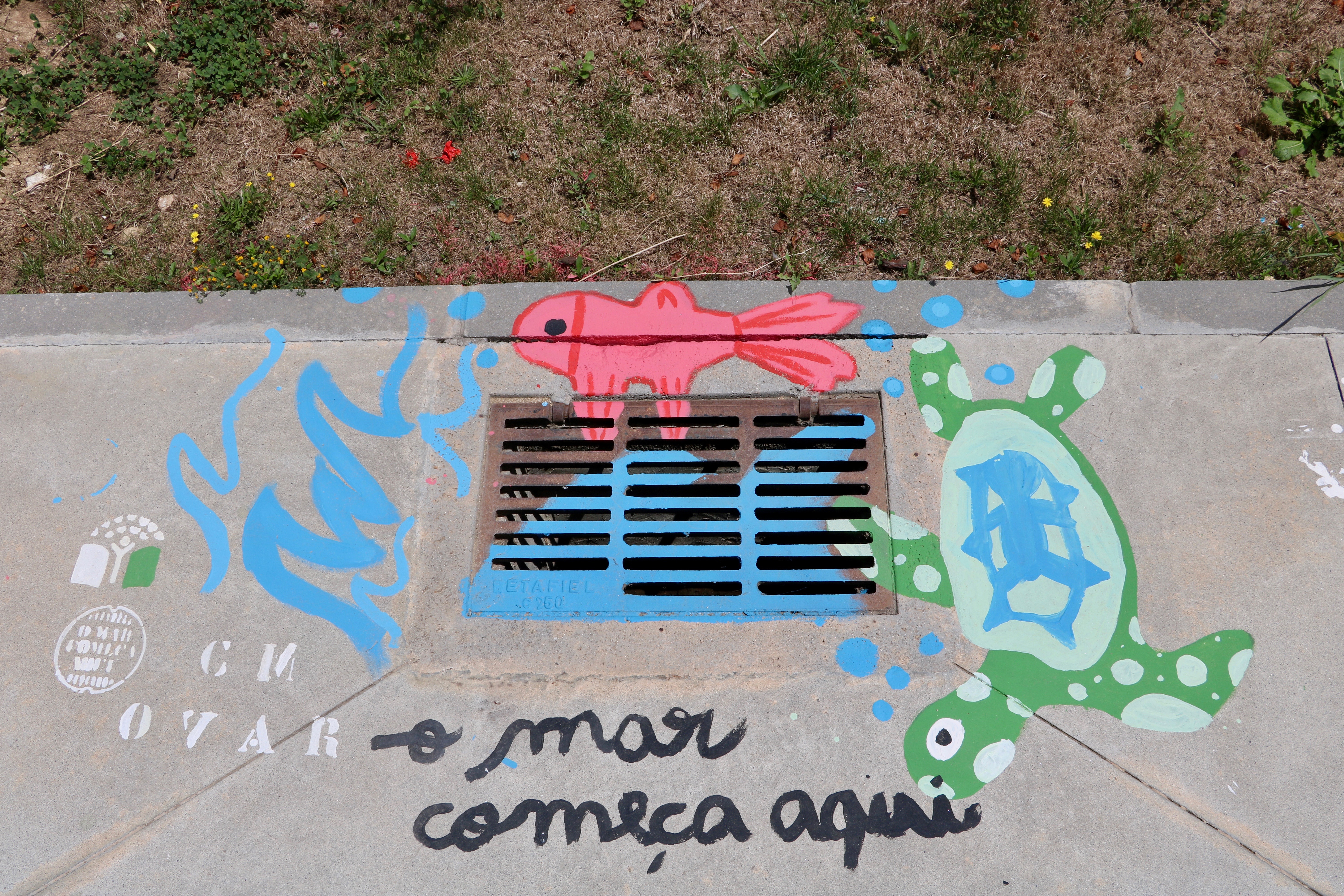 Escola Secundária  Júlio Dinis de Ovar<br />
A tartaruga  brincalhona desafia o peixe vermelho para uma corrida no mar Báltico.